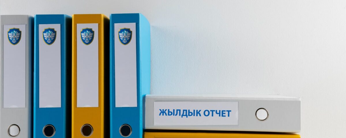 жылдык отчет