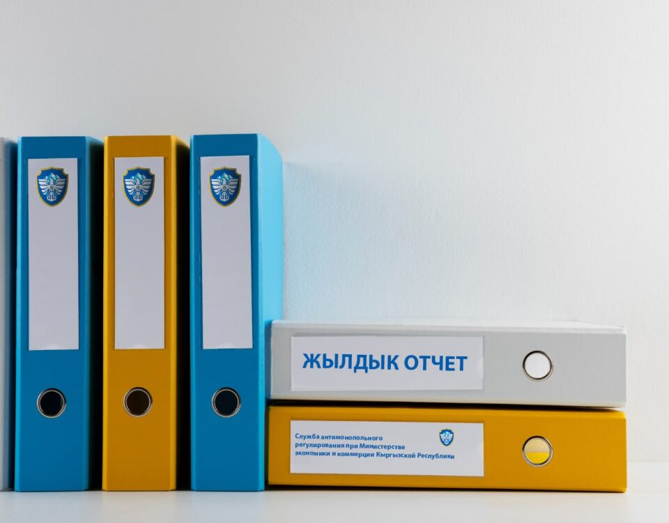 жылдык отчет