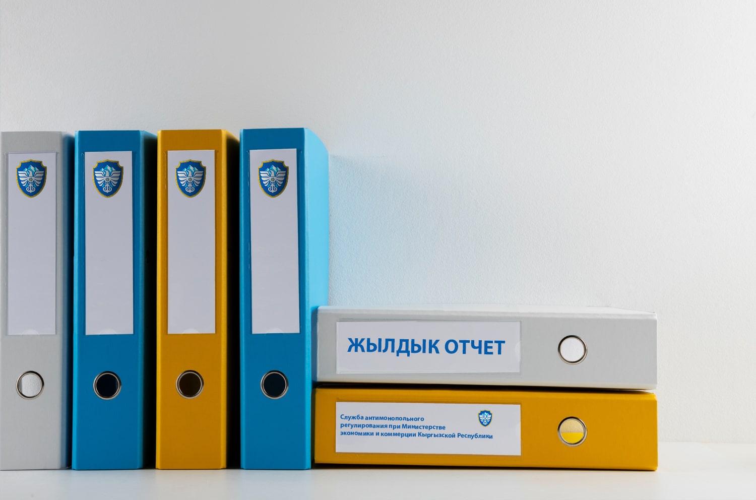 жылдык отчет